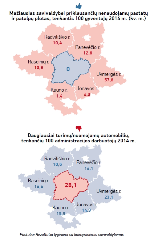 6Kedainiu